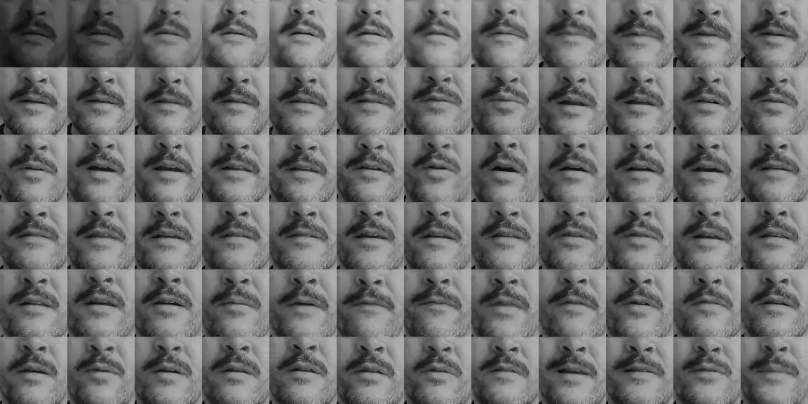 A grid of 72 grayscale crops of Tex’s mouth, one per video frame